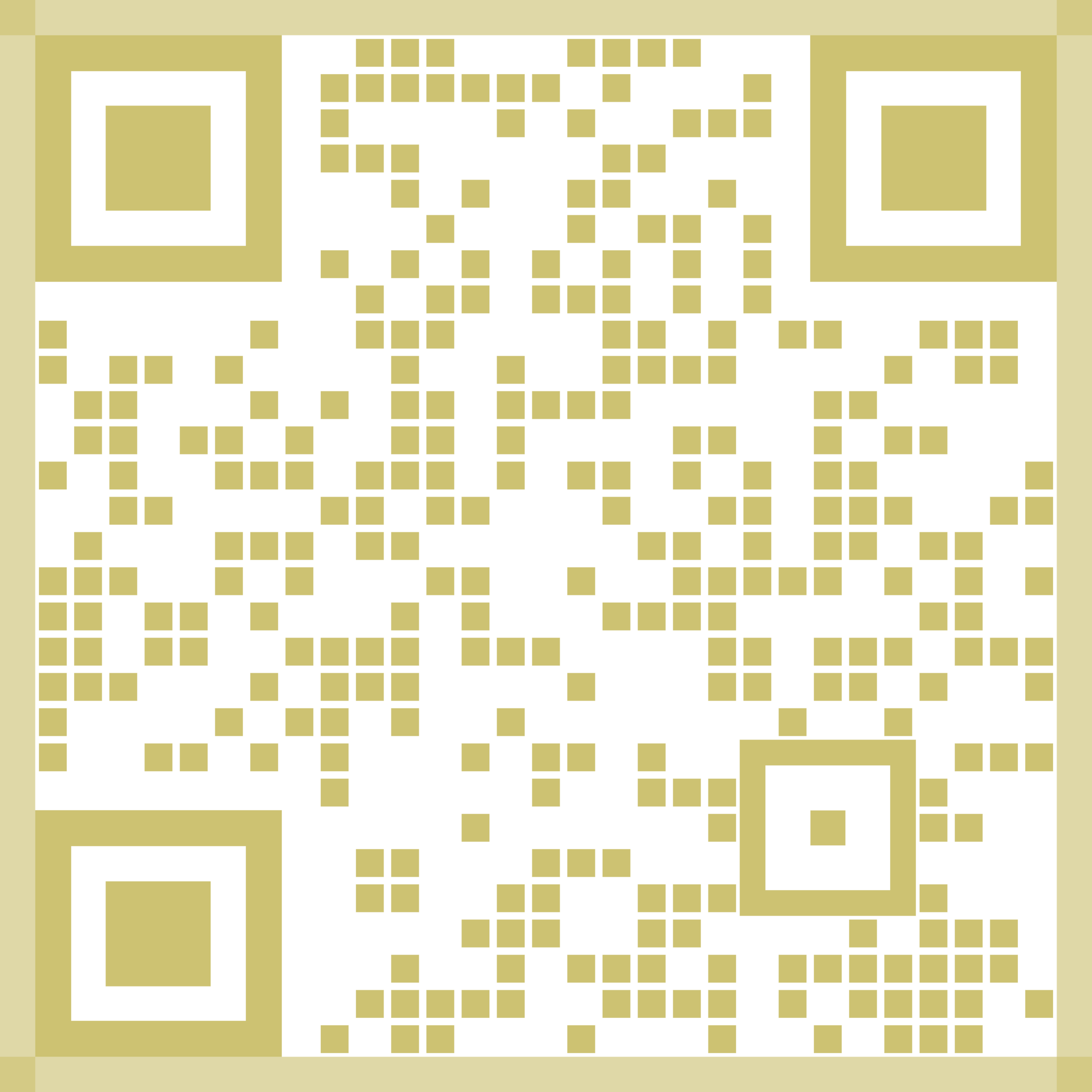 Bad Boys PayPal QR Code